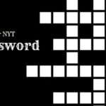 Sector NYT Crossword